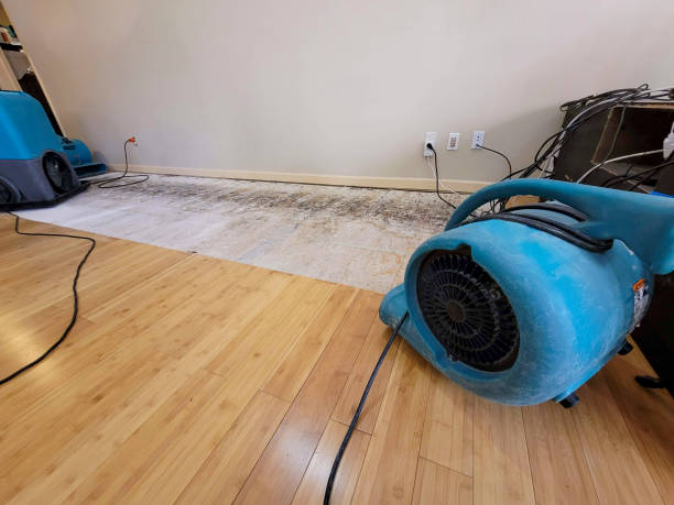 Professional Basement Flood Cleanup technician working in Laguna Beach, CA